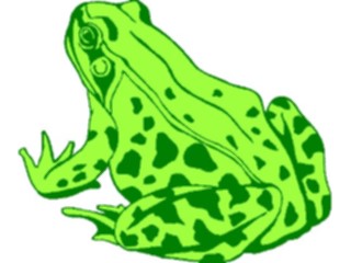 Sticker Custom Preview Image #015427 Animals Aquatic Frog08