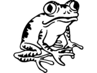 Sticker Custom Preview Image #015428 Animals Aquatic Frog09