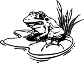 Sticker Custom Preview Image #015429 Animals Aquatic Frog10