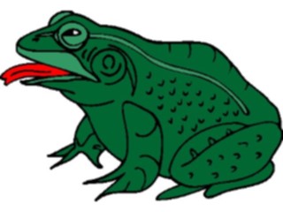 Sticker Custom Preview Image #015433 Animals Aquatic Frog14