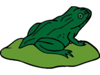 Sticker Custom Preview Image #015434 Animals Aquatic Frog15