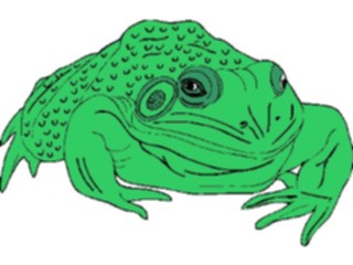 Sticker Custom Preview Image #015435 Animals Aquatic Frog16