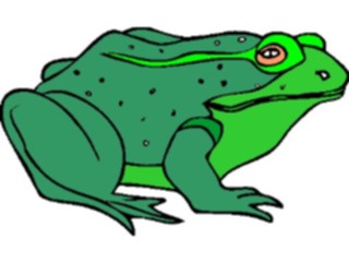 Sticker Custom Preview Image #015437 Animals Aquatic Frog18