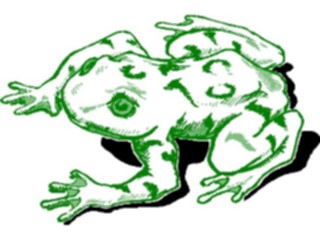 Sticker Custom Preview Image #015439 Animals Aquatic Frog20