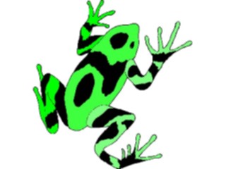 Sticker Custom Preview Image #015440 Animals Aquatic Frog21