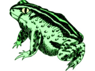 Sticker Custom Preview Image #015442 Animals Aquatic Frog23