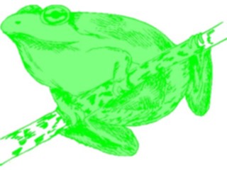 Sticker Custom Preview Image #015444 Animals Aquatic Frog25