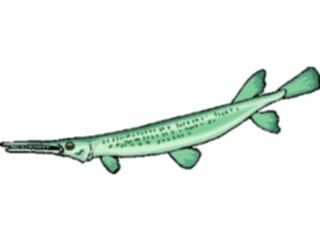 Sticker Custom Preview Image #015449 Animals Aquatic Gar