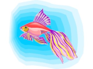 Sticker Custom Preview Image #015455 Animals Aquatic Goldfish04