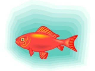 Sticker Custom Preview Image #015460 Animals Aquatic Goldfish09