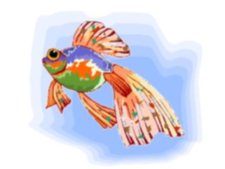 Sticker Custom Preview Image #015462 Animals Aquatic Goldfish11