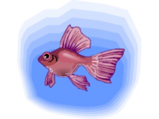 Sticker Custom Preview Image #015464 Animals Aquatic Goldfish13