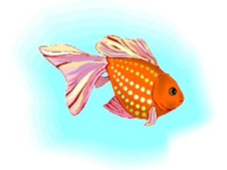 Sticker Custom Preview Image #015465 Animals Aquatic Goldfish14