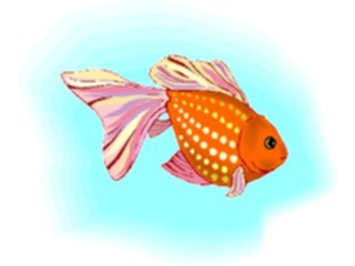 Sticker Custom Preview Image #015465 Animals Aquatic Goldfish14