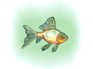 Sticker Custom Preview Image #015468 Animals Aquatic Goldfish17