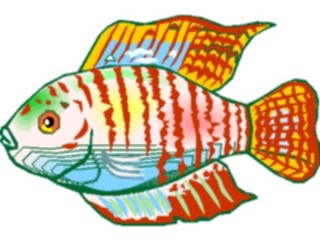 Sticker Custom Preview Image #015471 Animals Aquatic Gourami Dwarf