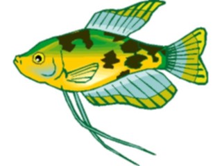 Sticker Custom Preview Image #015472 Animals Aquatic Gourami Gold