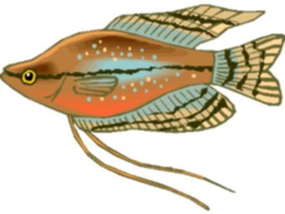 Sticker Custom Preview Image #015473 Animals Aquatic Gourami Jewel