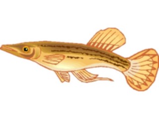 Sticker Custom Preview Image #015485 Animals Aquatic Halfbeak