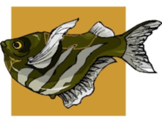 Sticker Custom Preview Image #015488 Animals Aquatic Hatchetfish2