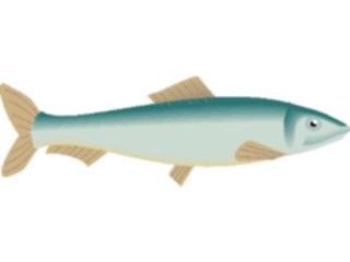 Sticker Custom Preview Image #015489 Animals Aquatic Herring