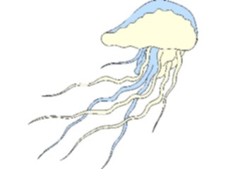 Sticker Custom Preview Image #015493 Animals Aquatic Jellyfish03