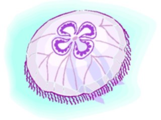 Sticker Custom Preview Image #015501 Animals Aquatic Jellyfish11