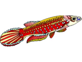 Sticker Custom Preview Image #015505 Animals Aquatic Killifish01