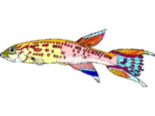 Sticker Custom Preview Image #015506 Animals Aquatic Killifish02