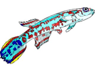 Sticker Custom Preview Image #015507 Animals Aquatic Killifish03