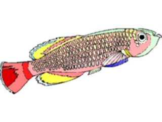 Sticker Custom Preview Image #015508 Animals Aquatic Killifish04