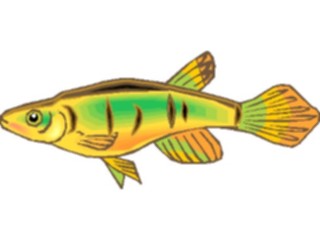 Sticker Custom Preview Image #015509 Animals Aquatic Killifish05