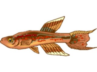 Sticker Custom Preview Image #015512 Animals Aquatic Killifish08