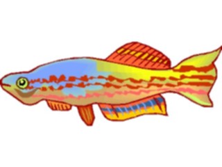 Sticker Custom Preview Image #015515 Animals Aquatic Killifish11