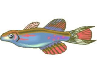 Sticker Custom Preview Image #015516 Animals Aquatic Killifish12