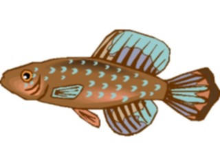 Sticker Custom Preview Image #015517 Animals Aquatic Killifish13