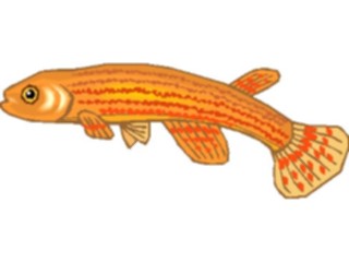 Sticker Custom Preview Image #015518 Animals Aquatic Killifish14