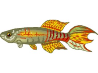 Sticker Custom Preview Image #015519 Animals Aquatic Killifish15