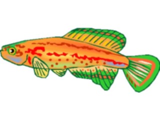 Sticker Custom Preview Image #015520 Animals Aquatic Killifish16