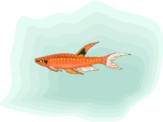 Sticker Custom Preview Image #015522 Animals Aquatic Killifish18