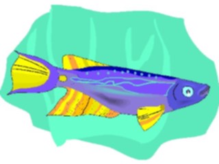 Sticker Custom Preview Image #015524 Animals Aquatic Killifish20