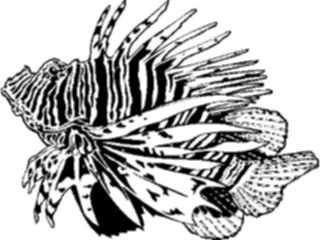 Sticker Custom Preview Image #015532 Animals Aquatic Lionfish3