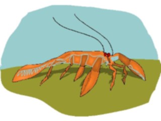 Sticker Custom Preview Image #015551 Animals Aquatic Lobster18