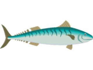 Sticker Custom Preview Image #015557 Animals Aquatic Mackerel