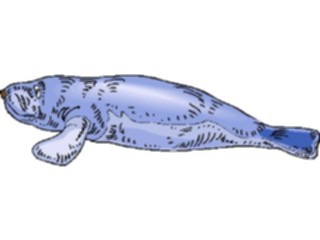 Sticker Custom Preview Image #015562 Animals Aquatic Manatee5