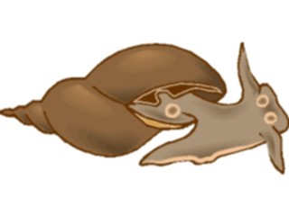 Sticker Custom Preview Image #015576 Animals Aquatic Mussel