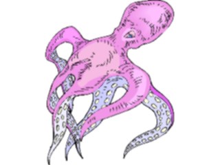 Sticker Custom Preview Image #015593 Animals Aquatic Octopus10