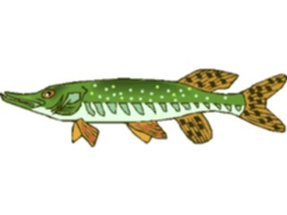 Sticker Custom Preview Image #015613 Animals Aquatic Pike2