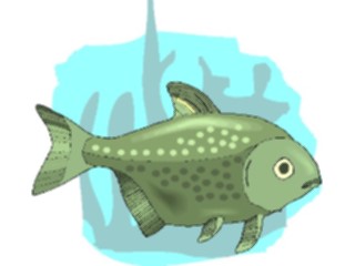 Sticker Custom Preview Image #015615 Animals Aquatic Piranha2