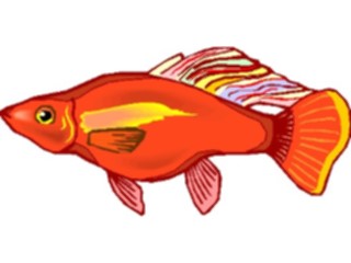 Sticker Custom Preview Image #015620 Animals Aquatic Platy5